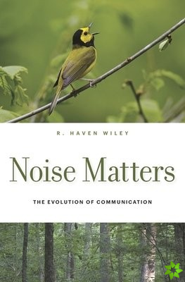 Noise Matters