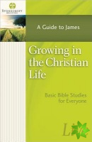 Growing in the Christian Life
