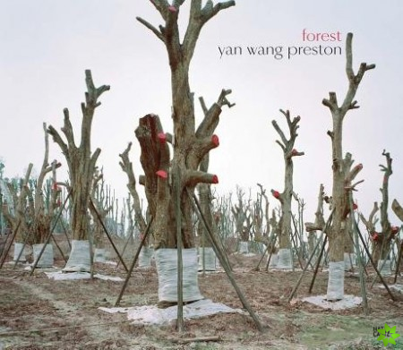 Yan Wang Preston: Forest