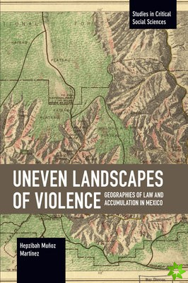 Uneven Landscapes of Violence