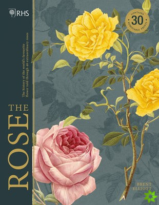 RHS The Rose