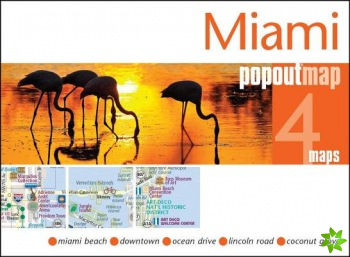 Miami PopOut Map