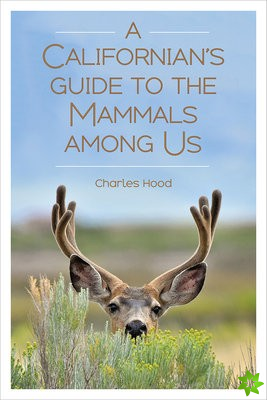 Californian's Guide to the Mammals among Us