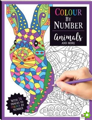 Colour by Number: Animals and More