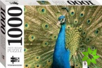 Peacock 1000 Piece Jigsaw