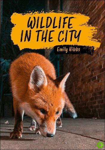 Reading Planet KS2: Wildlife in the City - Earth/Grey