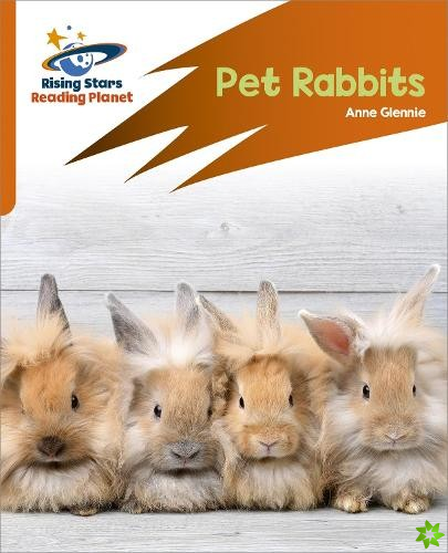 Reading Planet: Rocket Phonics  Target Practice  Pet Rabbits  Orange