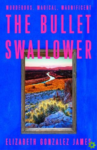 Bullet Swallower