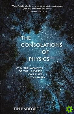 Consolations of Physics