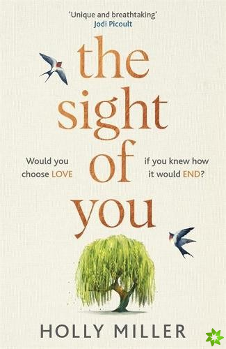 Sight of You