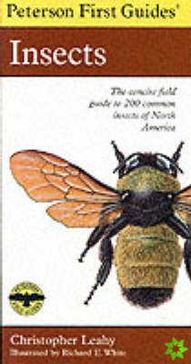 Peterson First Guide To Insects Of North America