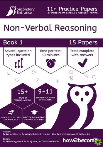 11+ Practice Papers For Independent Schools & Aptitude Training Non-Verbal Reasoning Book 1