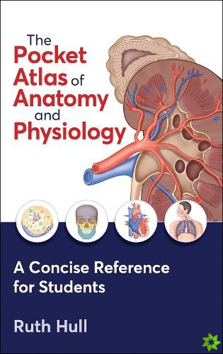 Pocket Atlas of Anatomy and Physiology