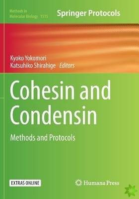 Cohesin and Condensin