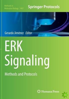 ERK Signaling