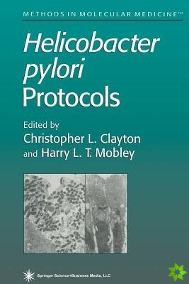 Helicobacter pylori Protocols