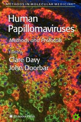 Human Papillomaviruses