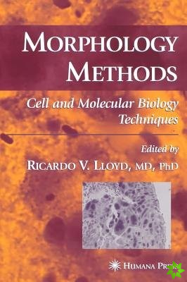 Morphology Methods