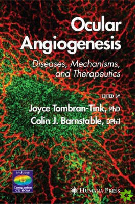 Ocular Angiogenesis