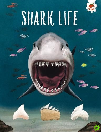 SHARK LIFE