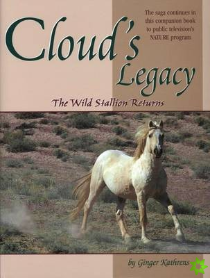 Cloud's Legacy