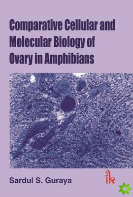 Comparative Cellular and Molecular Biology in Ovary in Amphibians