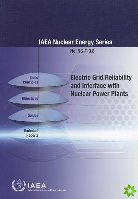 Electric grid reliability and interface with nuclear power plants
