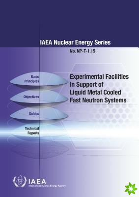 Experimental Facilities in Support of Liquid Metal Cooled Fast Neutron Systems