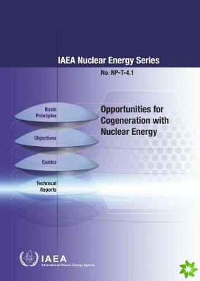 Opportunities for Cogeneration with Nuclear Energy