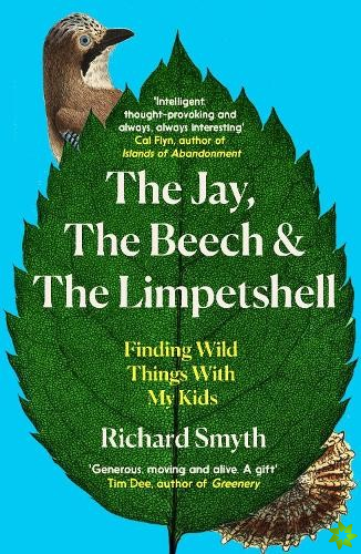 Jay, The Beech and the Limpetshell