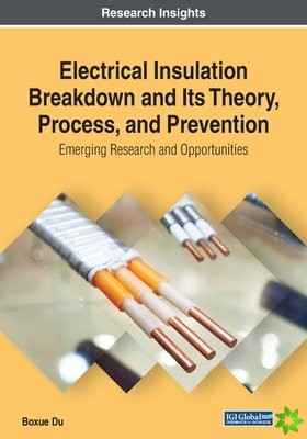 Electrical Insulation Breakdown and Its Theory, Process, and Prevention