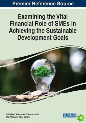 Examining the Vital Financial Role of SMEs in Achieving the Sustainable Development Goals