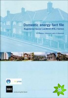 Domestic Energy Fact File