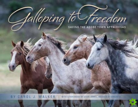 Galloping to Freedom