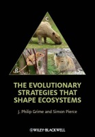 Evolutionary Strategies that Shape Ecosystems