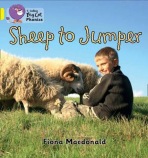 Sheep to Jumper