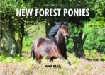 Spirit of New Forest Ponies