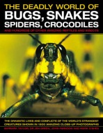 Deadly World of Bugs, Snakes, Spiders, Crocodiles and Hundreds of Other Amazing Reptiles and Insects