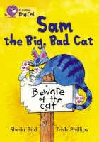 Sam and the Big Bad Cat