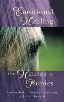 Emotional Healing For Horses a Ponies