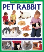 How to Look After Your Pet Rabbit