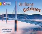 Brilliant Bridges