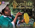 Chocolate: from Bean to Bar