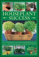 Houseplant Success
