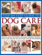 Step-by-step Guide to Dog Care