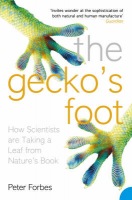 GeckoÂ’s Foot