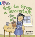 How to Grow a Beanstalk