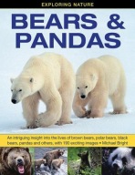 Exploring Nature: Bears a Pandas