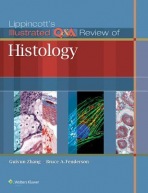Lippincott's Illustrated QaA Review of Histology