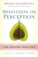 Meditation on Perception